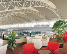 寧波國(guó)際機(jī)場(chǎng)